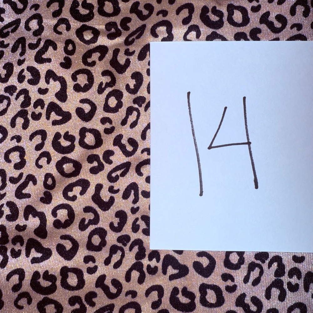 Ruby Ribbon Original Full Support Cami - Cheetah,… - image 3